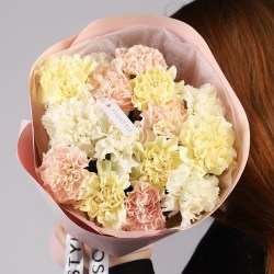 Сортовые диантусы нежный букет